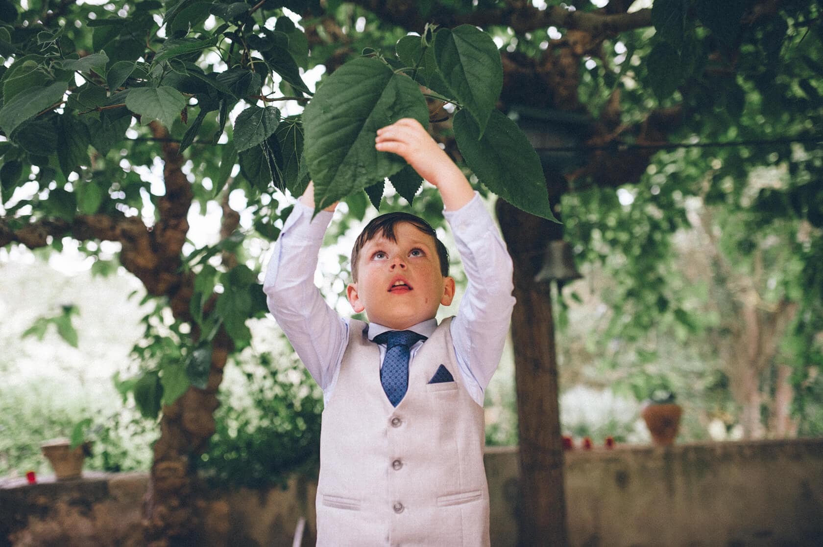 Boy in suit reaching for leaves at Villa Almanita destination wedding in Sitges - Barcelona Wedding Photographer