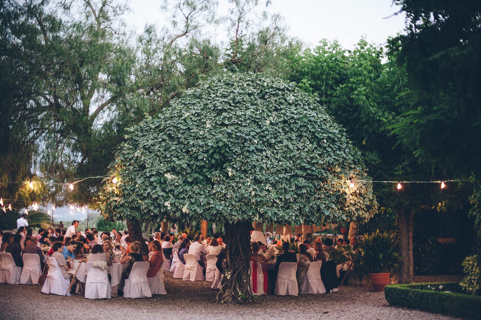 Wedding guests dining outdoors under a large tree at night, Barcelona wedding photographer - Barcelona Wedding Photographer