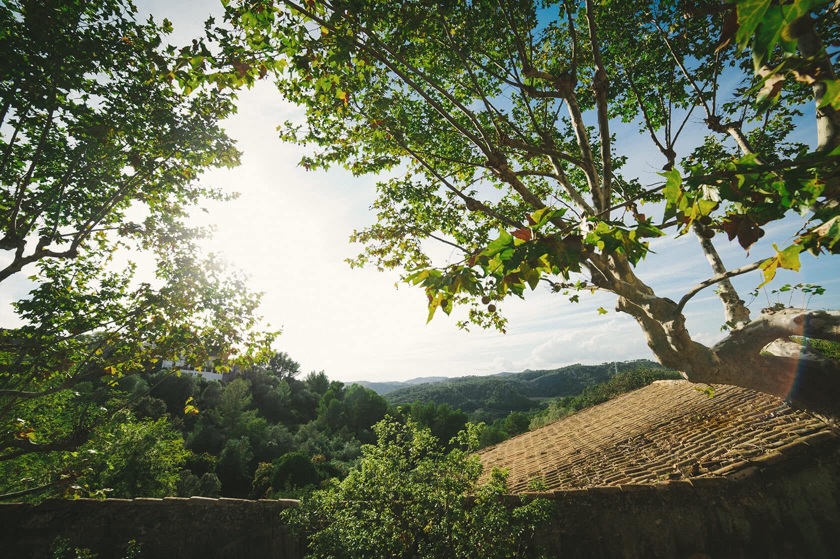 Lush greenery and a tiled roof overlooking a valley, perfect for wedding villas in Sitges. - Barcelona Wedding Photographer