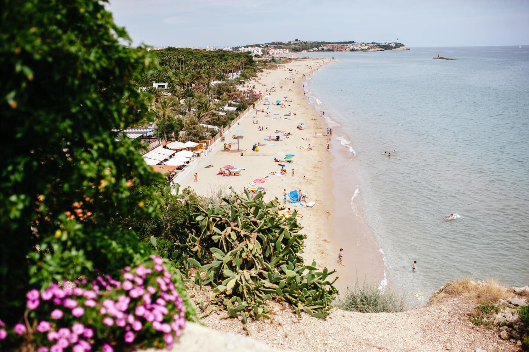 Sunny beach with palm trees and people enjoying the Mediterranean Sea near Barcelona wedding venues. - Barcelona Wedding Photographer