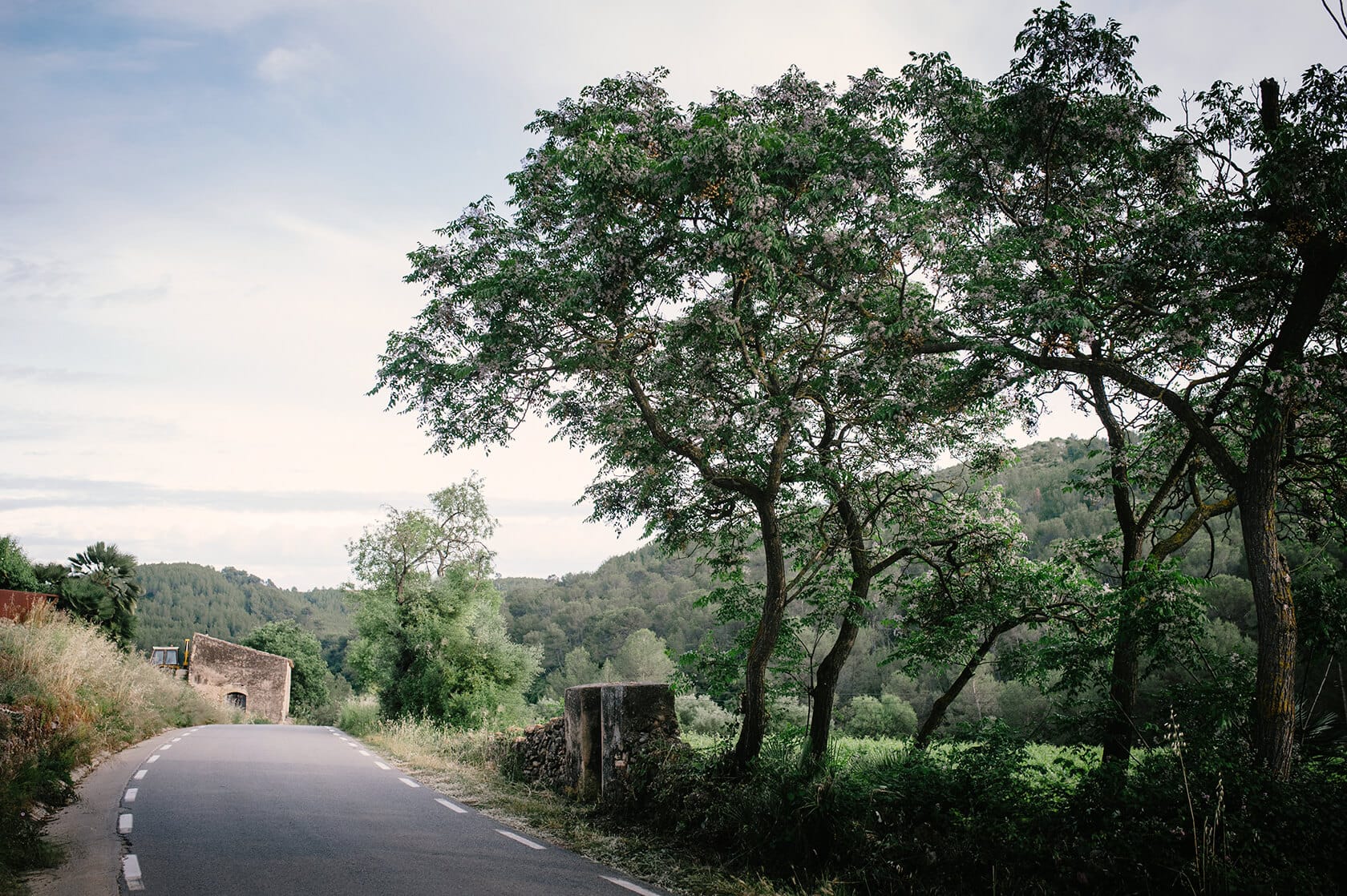 Scenic road leading to Casa Felix wedding venue, surrounded by trees and hills. - Barcelona Wedding Photographer