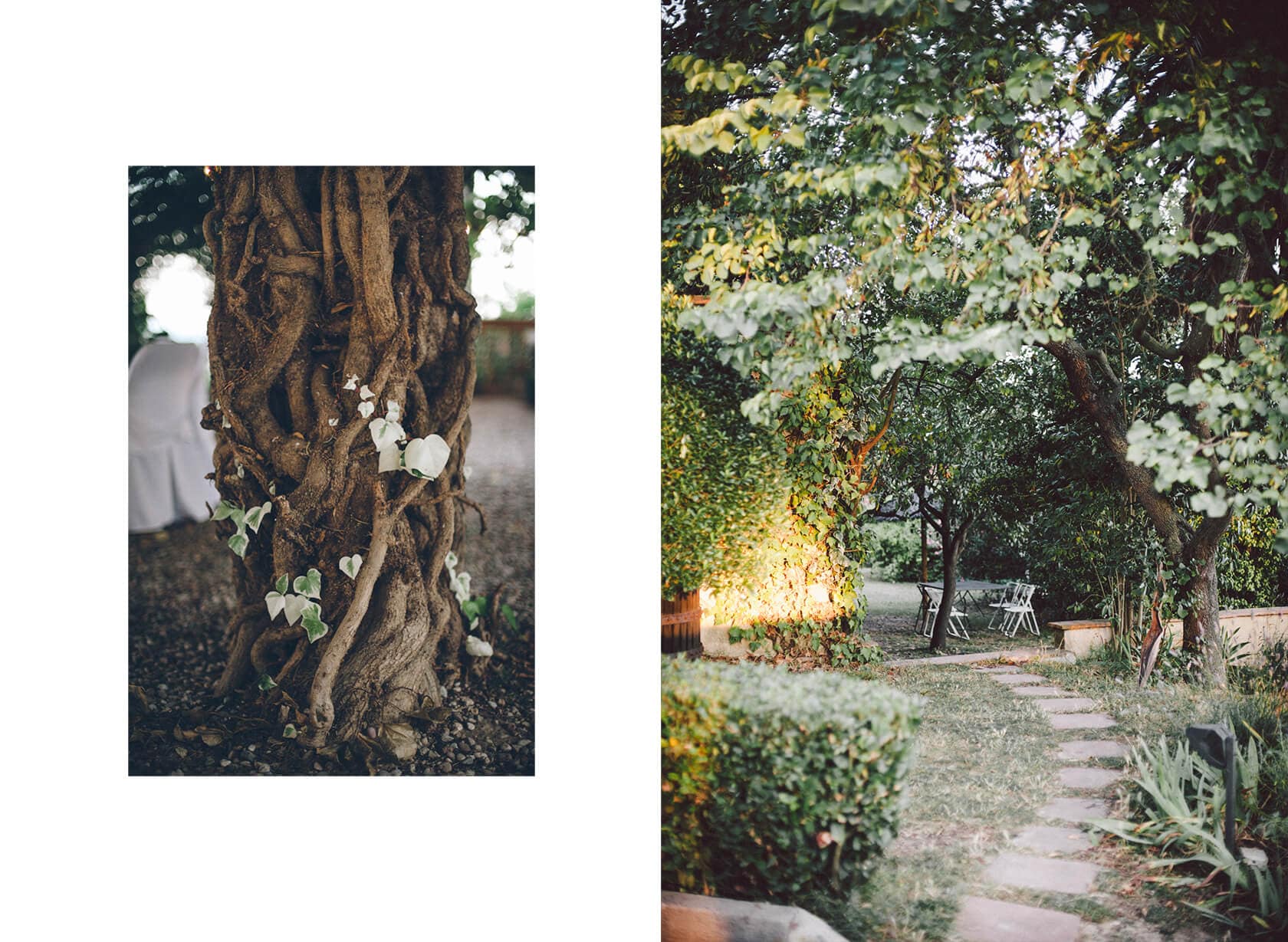 Wedding photographer Barcelona captures rustic tree and garden setting - Barcelona Wedding Photographer