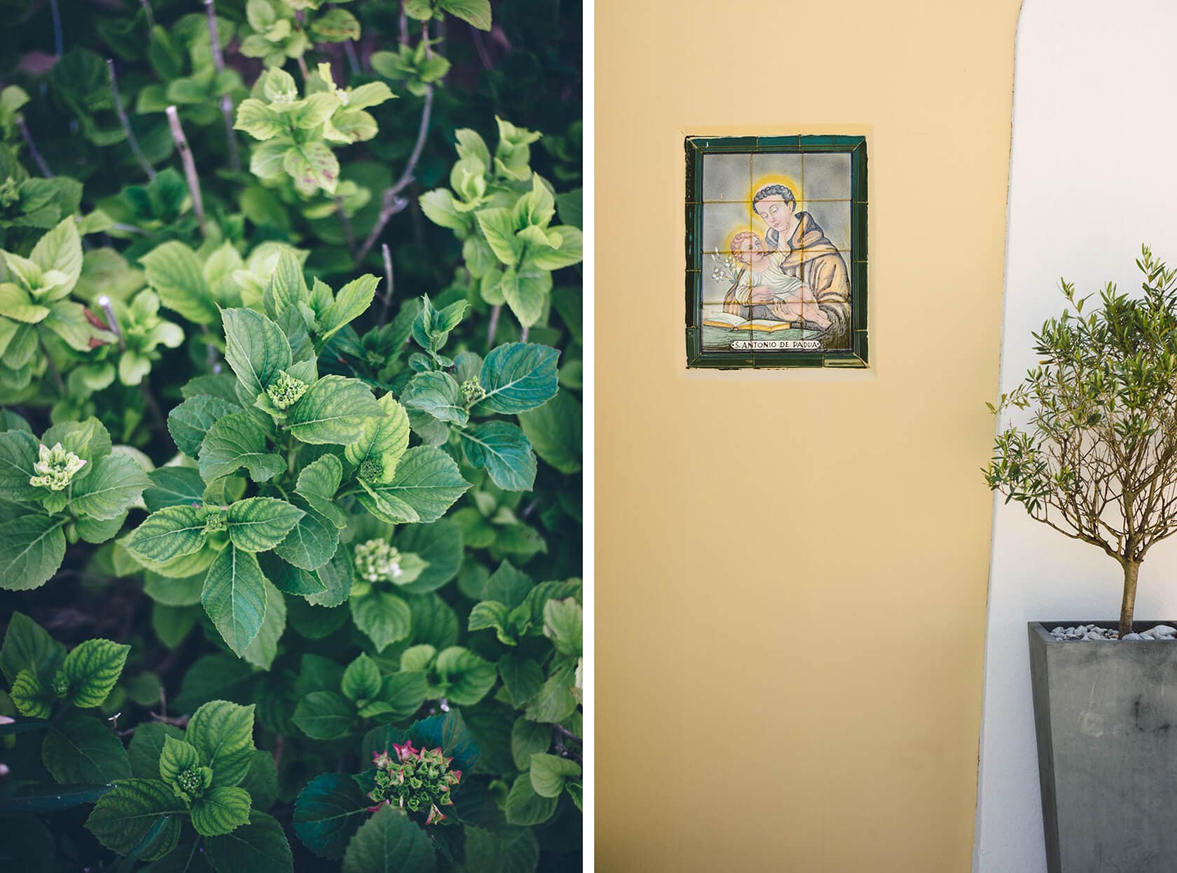 Green hydrangeas and a tile plaque with Saint Anthony at Casanova Estate wedding venue. - Barcelona Wedding Photographer