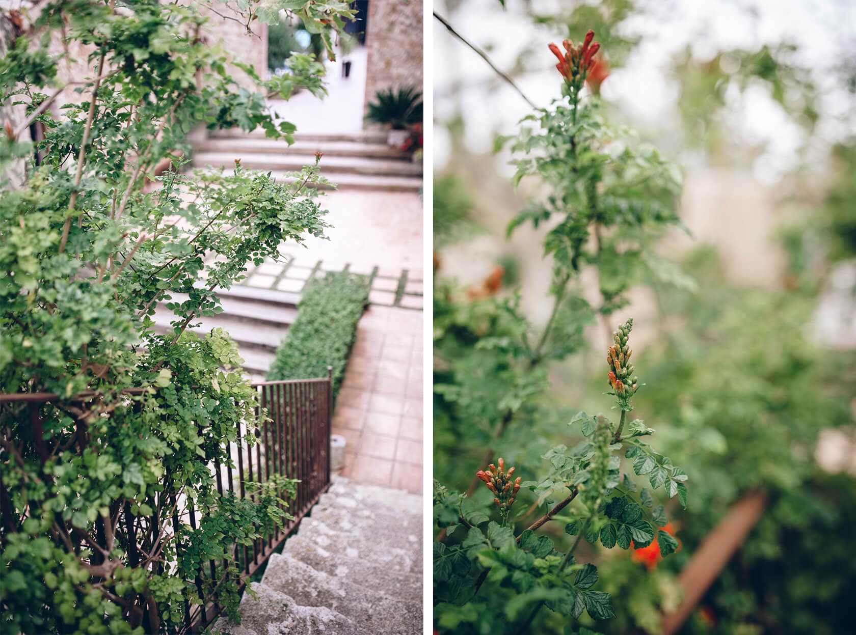 Lush greenery and orange flowers on steps at a gay wedding in Sitges - Barcelona Wedding Photographer